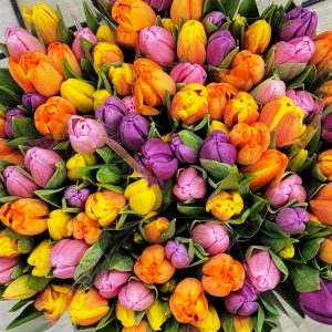 Mothers Day